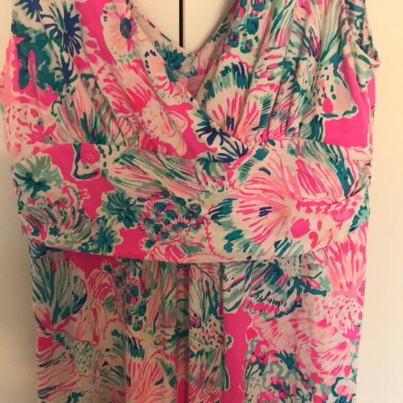 Lilly Pulitzer dress - Picture 4 of 4